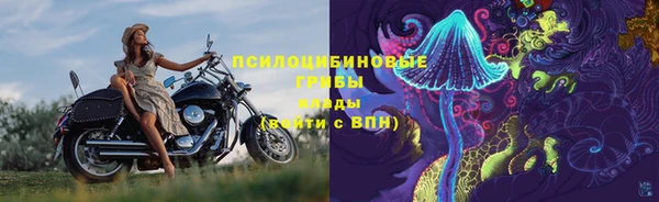 сатива Алексеевка