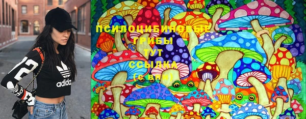 твердый Абаза