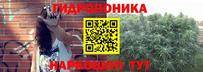 ALPHA-PVP Партизанск
