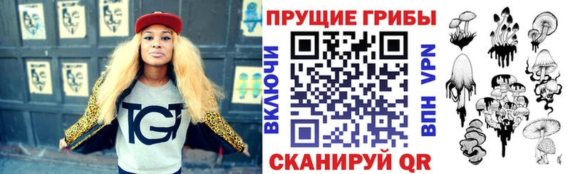 купить закладку  Тольятти  Галлюциногенные грибы Psilocybine cubensis 