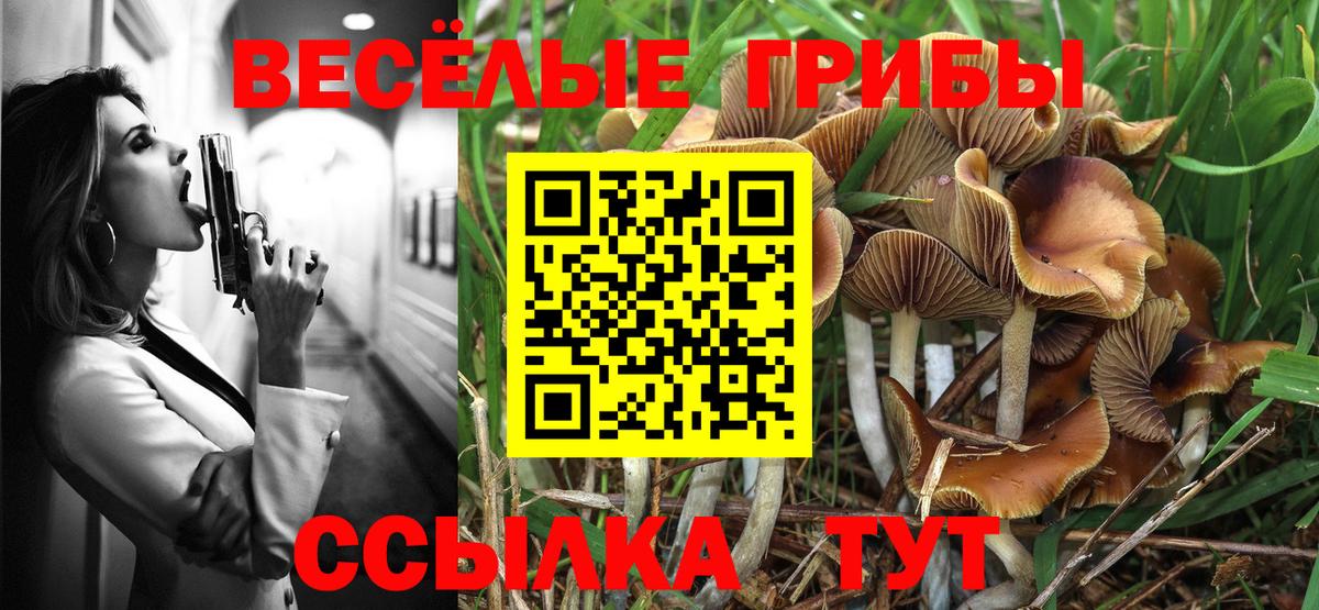 как найти   Вход с VPN  Тольятти  Псилоцибиновые грибы прущие грибы 